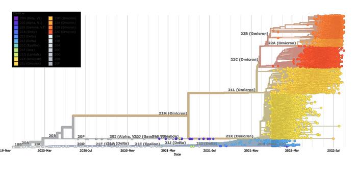 ai-deciphers-genetic-‘dialect’-to-predict-future-mutations-of-sars-cov-2