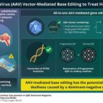 breakthrough-study-unveils-genome-editing-as-a-promising-treatment-for-genetic-deafness