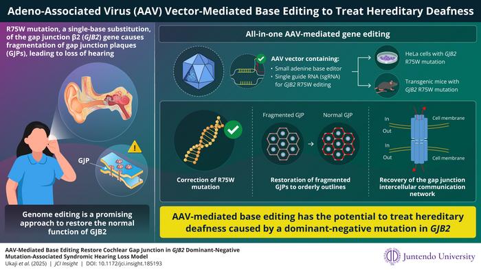 breakthrough-study-unveils-genome-editing-as-a-promising-treatment-for-genetic-deafness