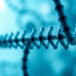drexel-researchers-unveil-innovative-dna-test-to-tailor-treatments-for-bacterial-vaginosis