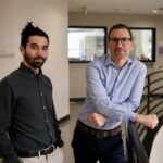 intricate-balancing-act-regulates-genome-gateway-formation-in-cells