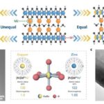 refining-zinc-centered-materials:-how-copper-neighbors-enhance-calcium-ion-hosting