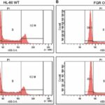 single-protein-mirrors-retinoic-acid-treatment,-promoting-maturation-in-leukemia-cells