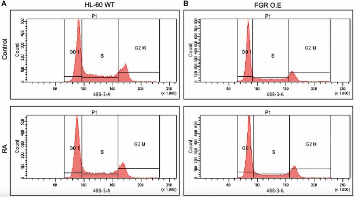 single-protein-mirrors-retinoic-acid-treatment,-promoting-maturation-in-leukemia-cells