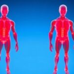 revolutionary-fabrication-technique-powers-up-artificial-muscles