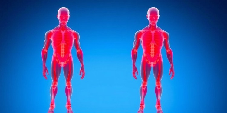 revolutionary-fabrication-technique-powers-up-artificial-muscles