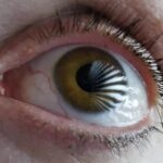 revolutionary-3d-technology-sets-the-stage-for-advanced-eye-tracking-innovations