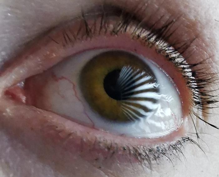 revolutionary-3d-technology-sets-the-stage-for-advanced-eye-tracking-innovations