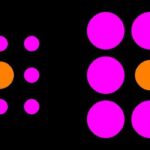 experts-who-can-decode-optical-illusions:-insights-from-the-frontiers-of-perception