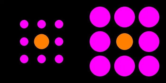 experts-who-can-decode-optical-illusions:-insights-from-the-frontiers-of-perception