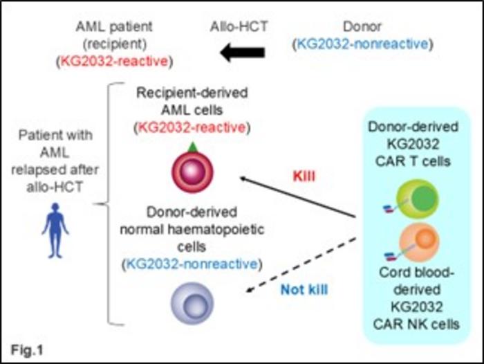 leveraging-car-technology-to-combat-acute-myeloid-leukemia