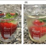 pomegranate-peel-extract-biofilm-significantly-prolongs-strawberry-shelf-life