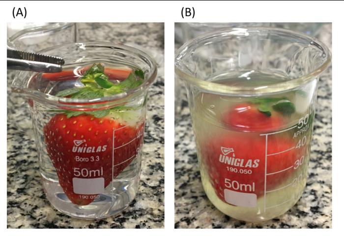 pomegranate-peel-extract-biofilm-significantly-prolongs-strawberry-shelf-life
