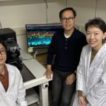 kaist-pioneers-innovative-retinal-therapy-to-restore-vision-loss