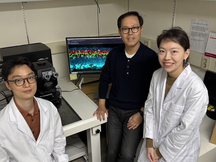 kaist-pioneers-innovative-retinal-therapy-to-restore-vision-loss