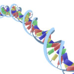 idt-lengthens-dna-offerings-with-elegen-partnership