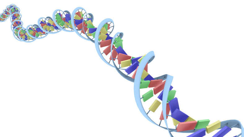 idt-lengthens-dna-offerings-with-elegen-partnership