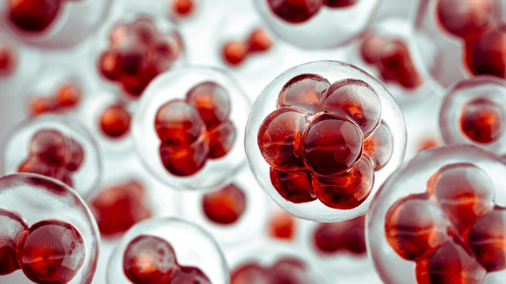 precision-base-editing-meets-single-cell-multiomics-to-advance-cell-and-gene-therapies