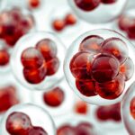 precision-base-editing-meets-single-cell-multiomics-to-advance-cell-and-gene-therapies