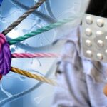 new-research-identifies-brain-differences-that-explain-varied-effects-of-ritalin-on-focus