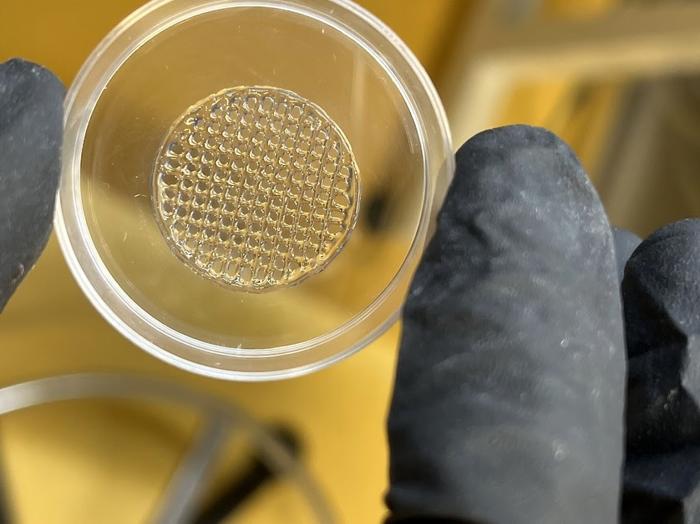 revolutionary-printed-skin-offers-promising-alternative-to-animal-testing