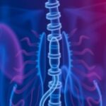 revolutionary-new-guidelines-set-to-enhance-cystic-fibrosis-screening-methods