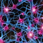 neurodegenerative-disease-treatment-strategy-sparked-by-novel-dlk-inhibitor