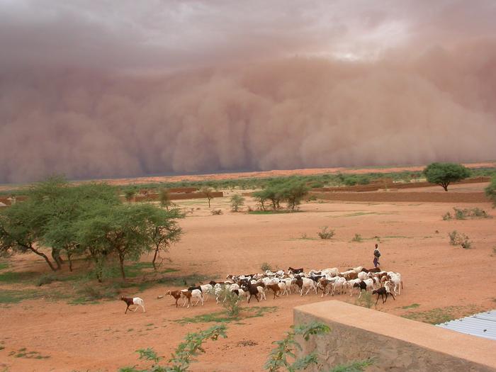 soil-conditions-play-a-key-role-in-enhancing-rainfall-in-global-megastorm-hotspots