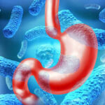 microbial-competition-enhances-oral-vaccine-protection-of-gut
