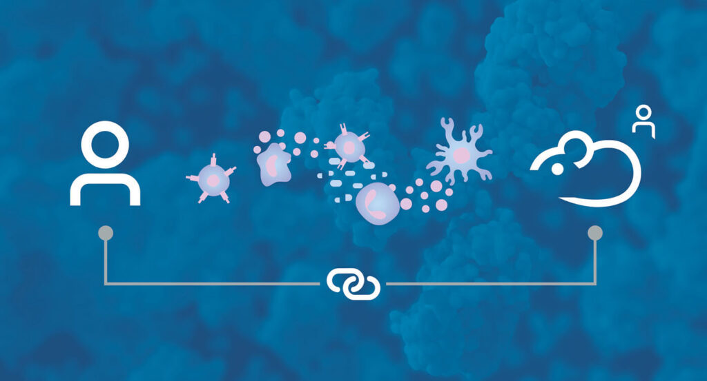 optimizing-humanized-mice-for-immuno-oncology:-advancing-car-t-research