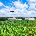 utilizing-drones-and-affordable-cameras-to-identify-drought-resistant-plant-varieties