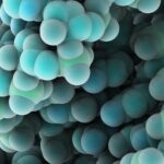 plex-research-partners-with-ginkgo-bioworks-to-apply-ai-based-search-engine-to-drug-discovery