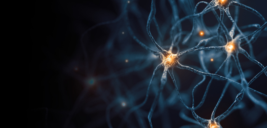 cytokine-regulates-anxiety-modulating-brain-circuits,-linking-immunity-and-behavior