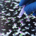 protein-conformational-array-technology-identifies-shp2-degradation-molecules