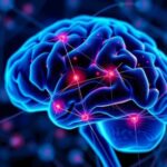 exploring-the-impact-of-cancer-treatment-on-brain-connectivity