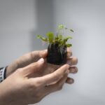 exploring-the-spectrum:-from-bacterial-defenses-to-plant-reproduction