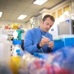 new-class-of-antibiotics-found-to-effectively-combat-mrsa