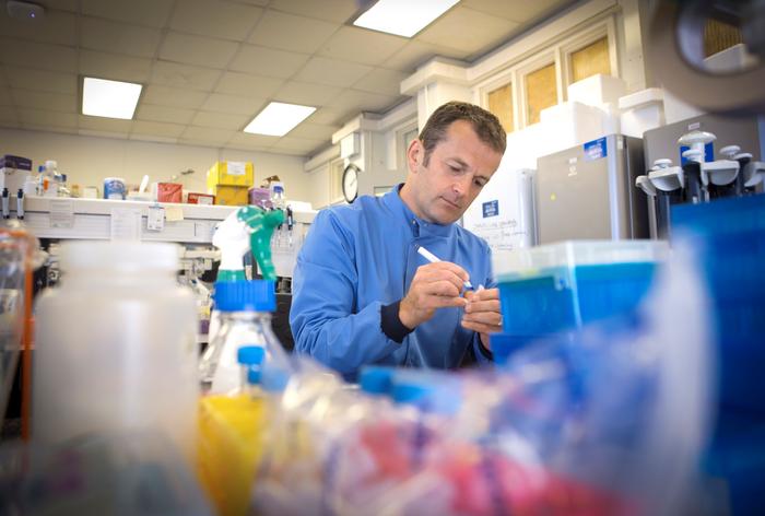 new-class-of-antibiotics-found-to-effectively-combat-mrsa