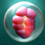 first-infant-conceived-and-born-using-fully-automated-intracytoplasmic-sperm-injection-system