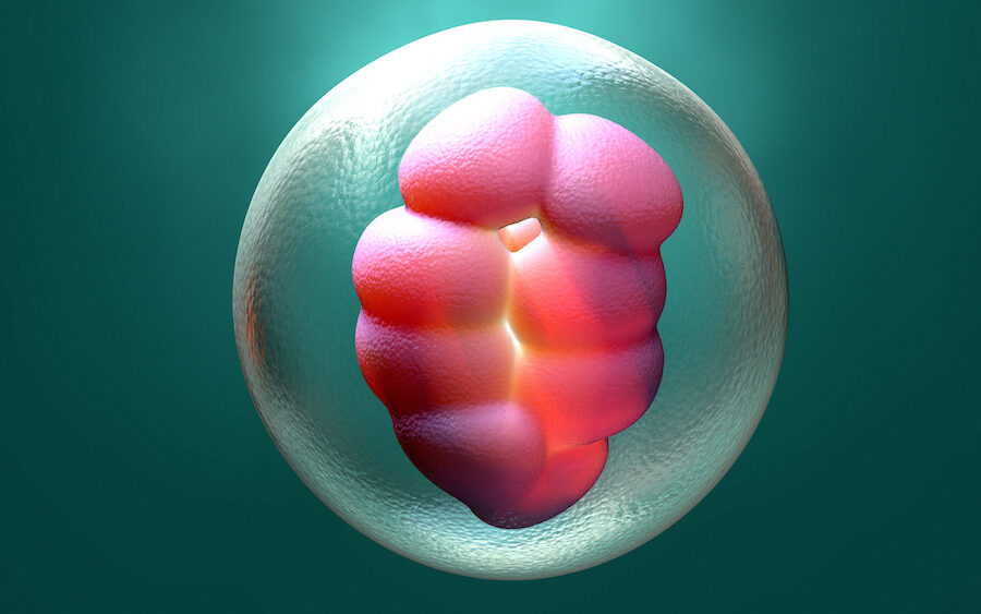 first-infant-conceived-and-born-using-fully-automated-intracytoplasmic-sperm-injection-system