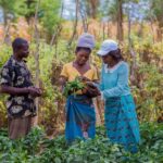 experts-urge-the-plant-kingdom-to-assert-its-role-in-one-health-initiative