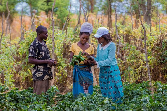 experts-urge-the-plant-kingdom-to-assert-its-role-in-one-health-initiative