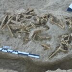 breakthrough-in-primate-evolution:-new-radioisotopic-dating-illuminates-volcanic-deposits