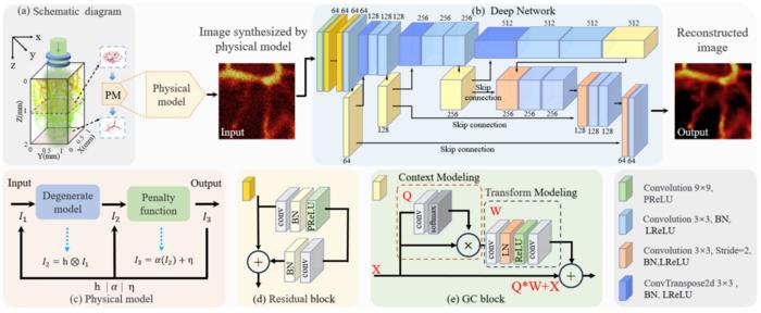 advanced-photoacoustic-microscopy:-integrating-physics-and-deep-learning-for-improved-imaging