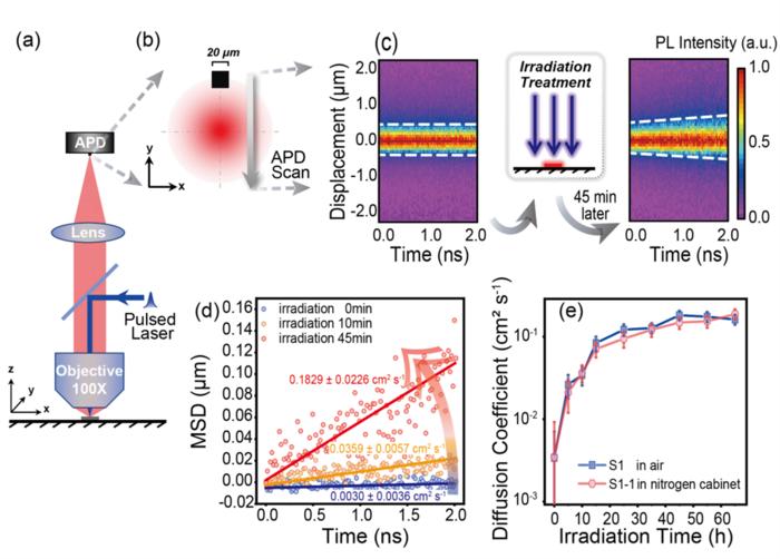 illuminating-exciton-dynamics:-light-enhances-transport-in-organic-molecular-crystals