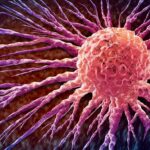 novel-predictive-algorithm-identifies-indel-signatures-associated-with-cancer