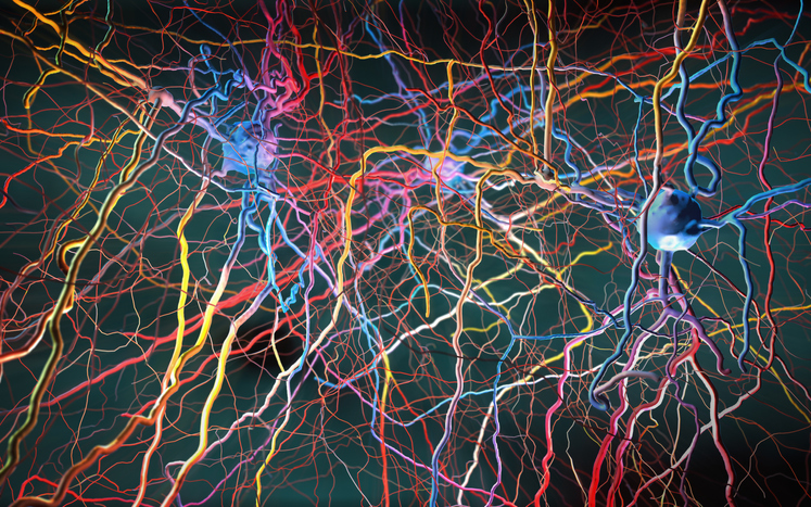 key-neural-pain-sensing-pathway-recreated-in-a-lab-dish