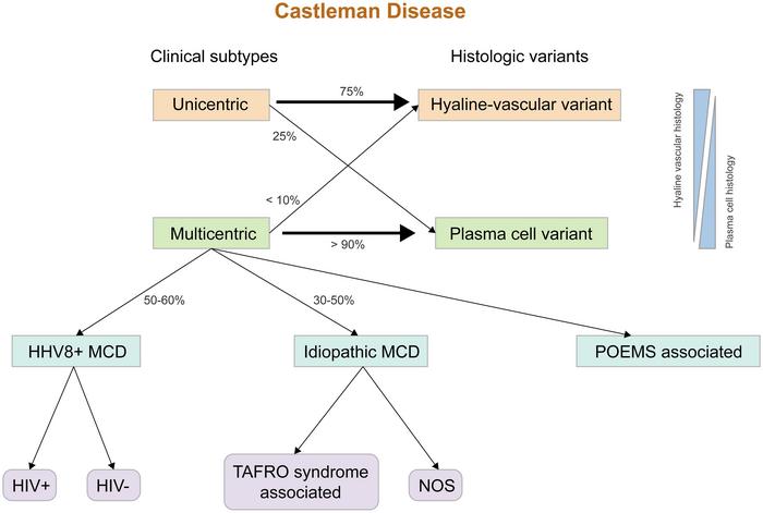 exploring-mimickers-and-related-neoplasms-in-castleman-disease