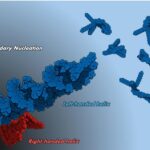 unveiling-the-twist:-light-induced-reversal-of-supramolecular-chirality