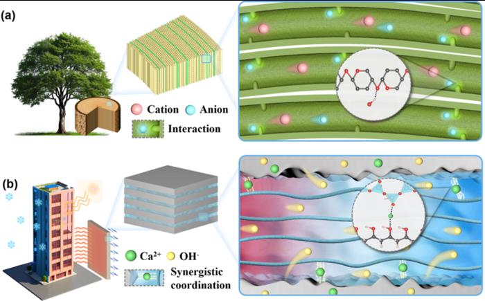 developing-bio-inspired-thermoelectric-cement-for-self-powered-architecture